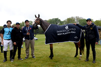 Images of Polo Best Playing Ponies 2024