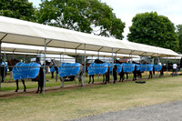 Royal Windsor Cup finals - 23/06/2024.