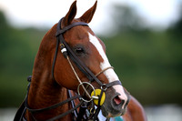 Eduardo Moore finals at Royal County of Berkshire Polo Club - 06/07/2014.