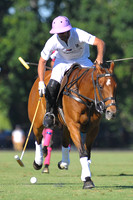 Hurlingham Open - 06/11/2016