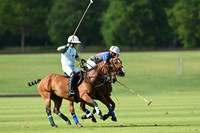 Committee Cup - 20/05/2025.