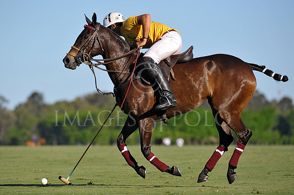 GRU_18206