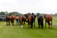 Cartier Queen's Cup - 21/05/2024.