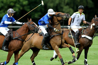 Duke of Wellington - 10/08/2014