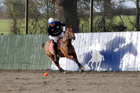 The Land Rover Polo Master 2015 at The Royal County of Berkshire Polo Club