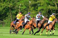 Committee Cup - 12/05/2014.